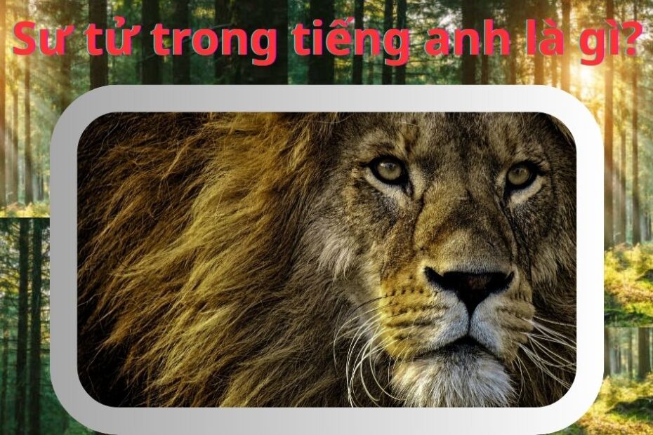 sư tử trong tiếng anh là gì