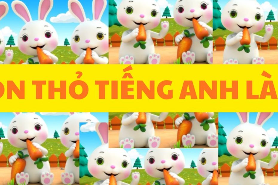 con thỏ tiếng Anh là gì