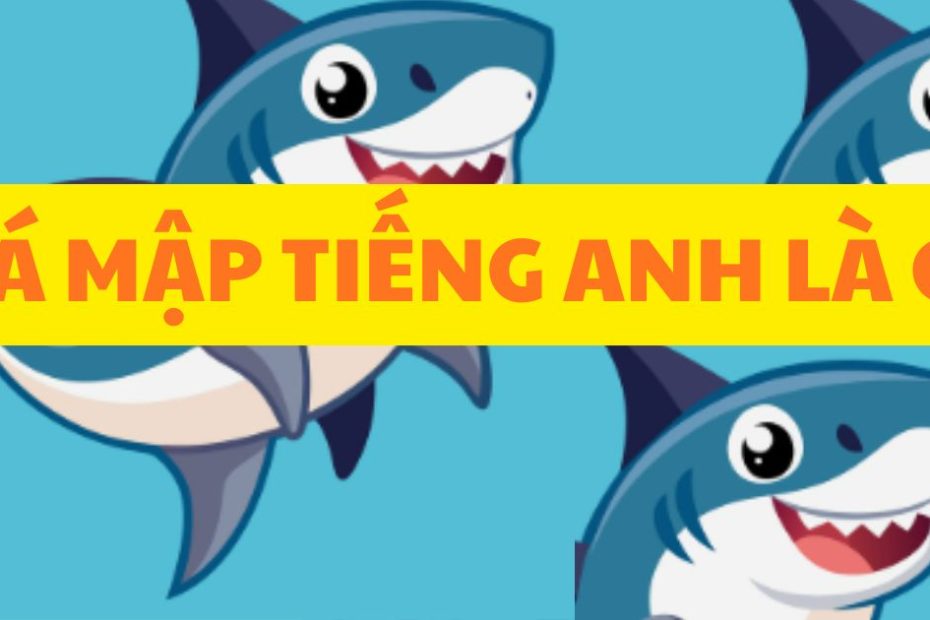 cá mập tiếng anh là gì
