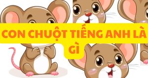 con chuột tiếng anh là gì