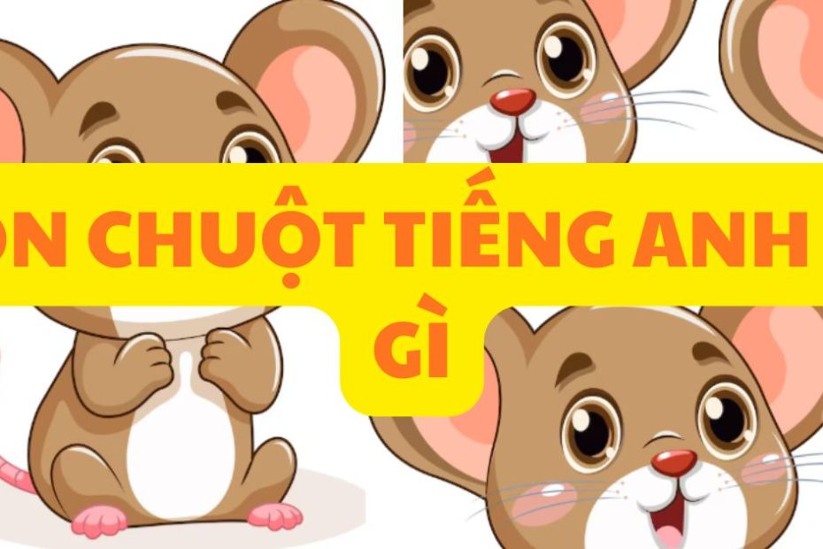 con chuột tiếng anh là gì