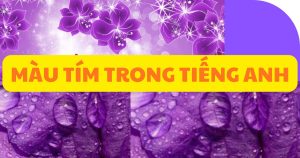 màu tím trong tiếng anh