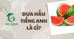 dưa hấu tiếng anh là gì