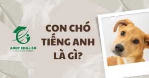 con chó tiếng anh là gì