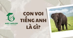 con voi tiếng anh là gì