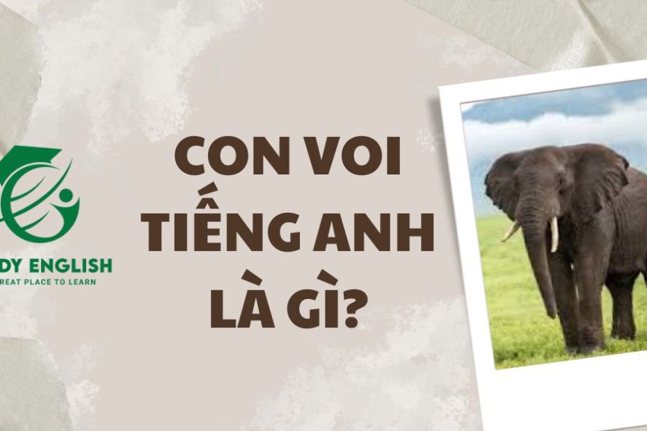 con voi tiếng anh là gì