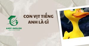 con vịt tiếng anh là gì
