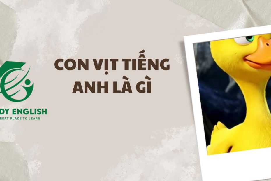 con vịt tiếng anh là gì