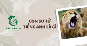 con sư tử tiếng anh là gì