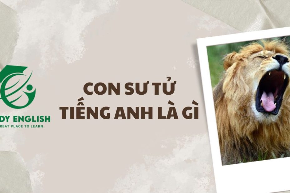 con sư tử tiếng anh là gì